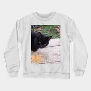 Kuro in Autumn Crewneck Sweatshirt